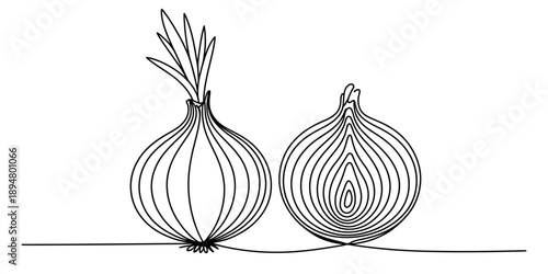 Continuous line drawing of a whole onion with shoots and a detailed cross section Vector, illustration