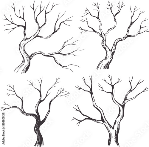 Minimalist black and bare tree branch ink branches trees twigs