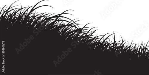 Black grass silhouette against white background landscape nature scene