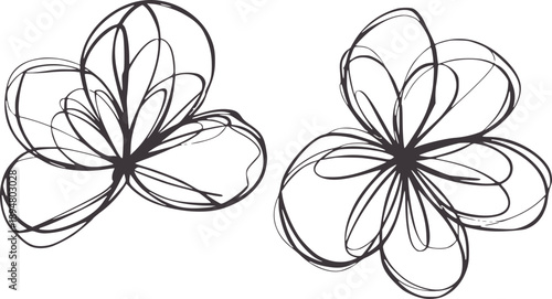 Two minimalist flowers in black and line monochrome