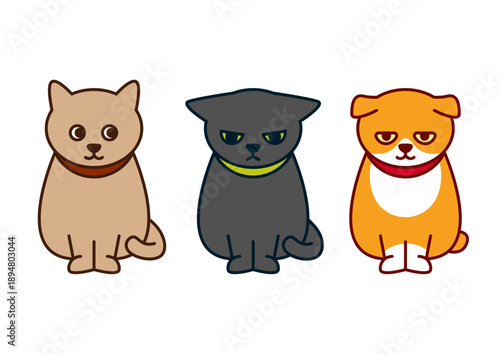 Domestic cats with collars character collection