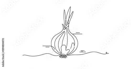 Simple line drawing of a sprouting onion on white background. No editable strokes