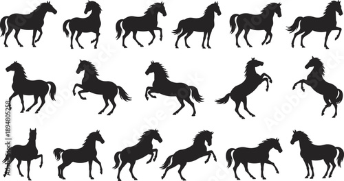 Collection of black horse silhouettes showing walking, running and rearing poses, dynamic equine motion set isolated on white background for design and branding