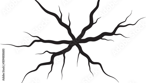 Black tree roots spreading out on white background illustration