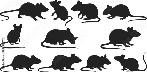 Rat silhouette set showing mouse and rodent poses, running, sitting, and crawling animals isolated in black vector illustration for pest control and wildlife design.