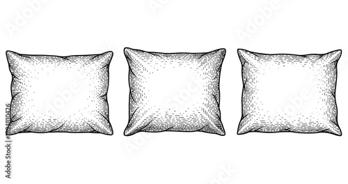 Vintage hand-drawn pillow set with intricate details in black and white