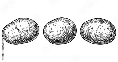 Hand-drawn black and white illustration of three potatoes on white background