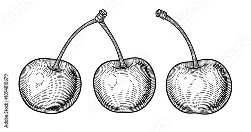 Black and white hand-drawn illustration of three cherries with detailed stems