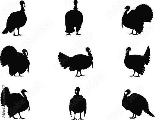 Turkey silhouette set featuring wild and farm bird poses with tail fan displays, isolated black vector illustrations for poultry, wildlife, and Thanksgiving design.