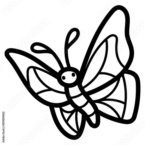butterfly illustration