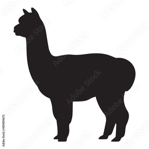 Alpaca Silhouette Clipart – Minimal Farm Animal Vector