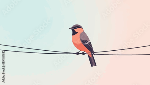 A small, colorful bird perches on a thin wire against a soft, gradient sky