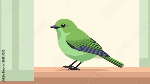 A small, vibrant green bird with dark blue and black wings, perched on a wooden surface