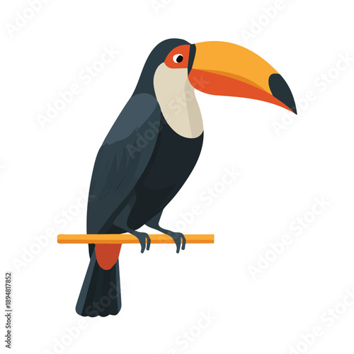 Simple flat 2D vector graphic of Toucan, modern icon look, displayed on a pure white background.
