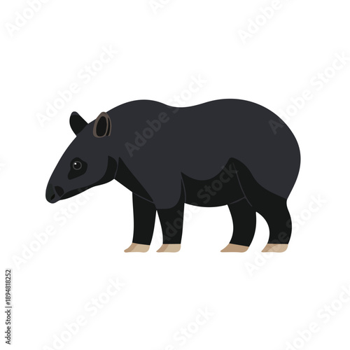 Simple flat 2D vector graphic of Tapir, modern icon look, displayed on a pure white background.