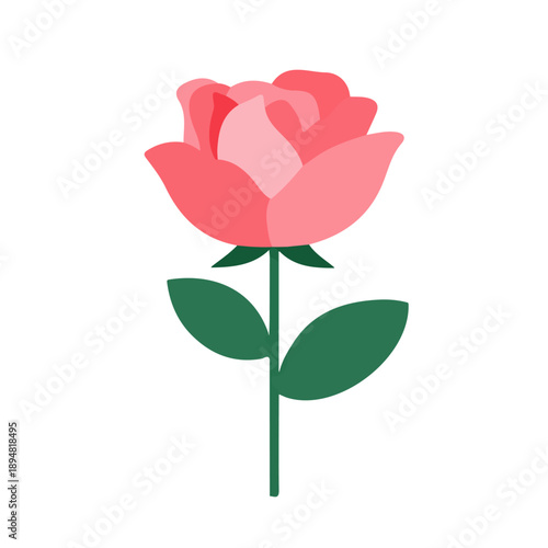 Rose, modern 2D flat vector illustration in icon style, isolated on pure white background.