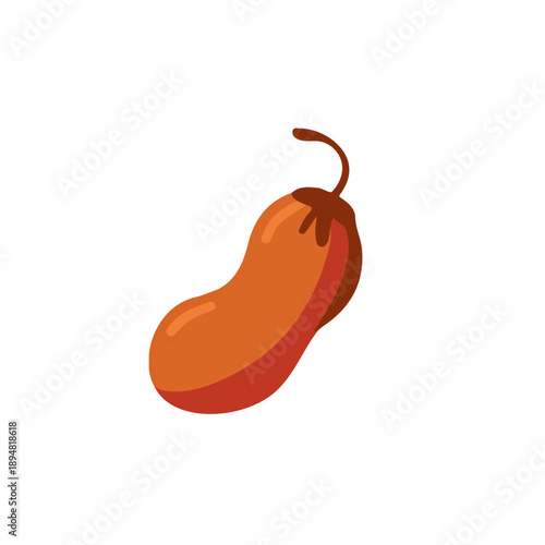 Tamarind, modern 2D flat vector illustration in icon style, isolated on pure white background.