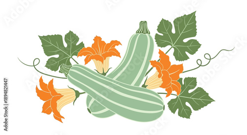 Illustration of green zucchinis with leaves and flowers.