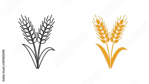 Wheat Outline and Color Illustration Set Agriculture Grain Vector Icon