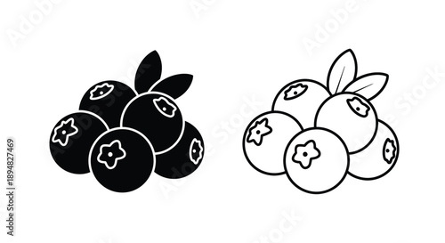 Black and white blueberry illustrations contrasting styles clean silhouette