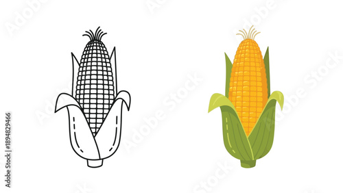 Vector illustration comparing a black and white line art coloring page of an ear of corn alongside a fully colored vibrant yellow vegetable presentation