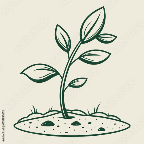 A green plant sprout growing in soil with leaves and roots developing