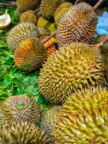 Fotografi Nature's most polarizing fruit: the durian.