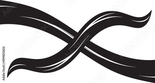 Elegant Black Ribbon Design Element Isolated on White Background