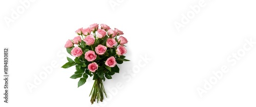 Roses flowers collection on white background