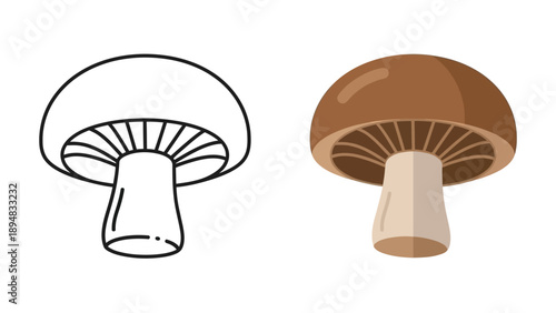 Comparing two illustrations of a common brown mushroom one featuring a detailed outline for coloring and the other showing a flat colored design