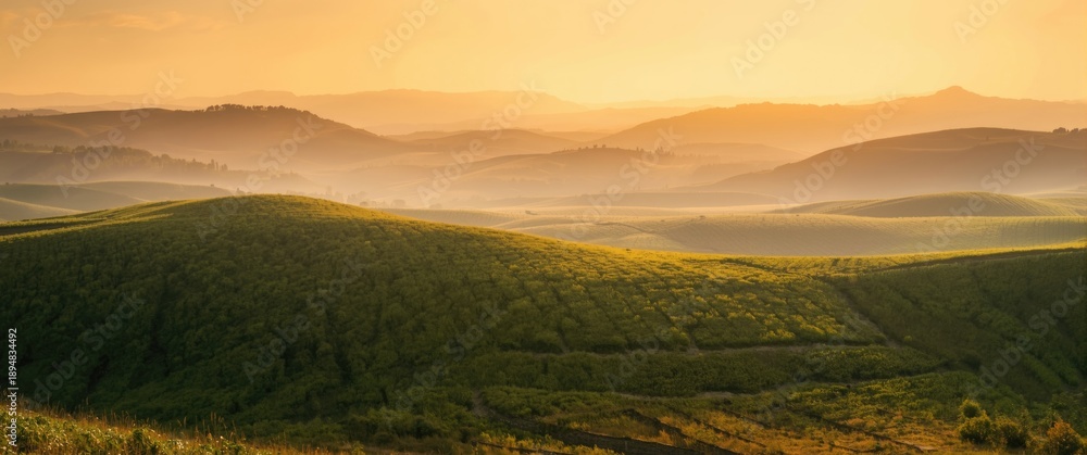 Obraz premium Typical Tuscany landscape background featuring abstract, nature, green grass, and light colors