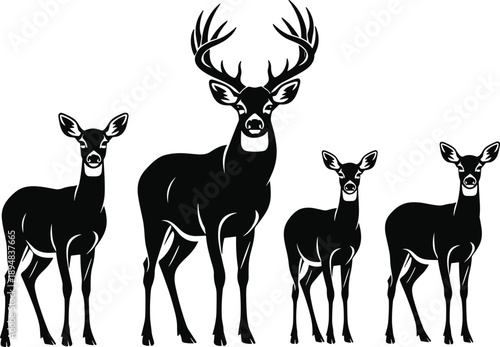 Black silhouette vector illustration set featuring a majestic buck with antlers and three female deer for nature and wildlife conservation design