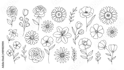 This elegant collection of various hand-drawn floral vector illustrations features delicate line art blooms perfect for design projects silhouette