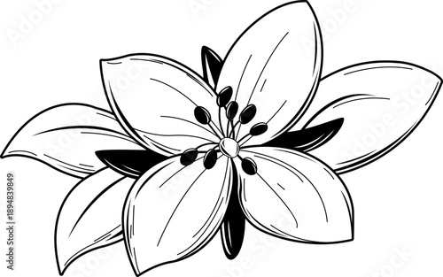 Dwarf Fireweed, Black and white sketch symbol. Chamerion latifolium. National flower of Greenland. Pretty bloom, river beauty willow herb Arctic flower in branch with leaves. Vector illustration