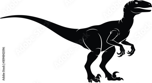 Detailed Black Silhouette of a Raptor Dinosaur Featuring Sharp Claws and a Long Tail for Prehistoric Wildlife and Scientific Illustrations