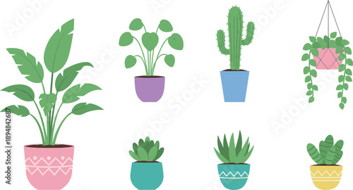 Collection of Indoor Potted Plants Including Cactus Succulents and Hanging Houseplants Vector Illustration