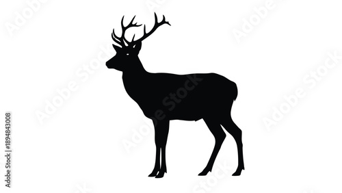 Black Silhouette of a Majestic Male Deer with Antlers Isolated on White