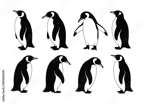 Collection of Eight Stylized Penguin in Vector illustration Black and White