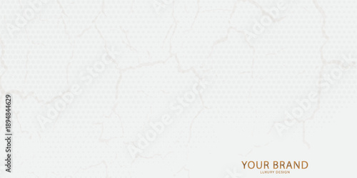 Premium background design with luxury white line pattern (texture). Abstract horizontal vector template for business banner, formal backdrop, prestigious voucher, luxe invite