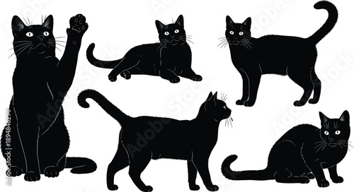 Black cat silhouette vector set showing different domestic cat poses including sitting, standing, walking, lying, and playful positions isolated on white background