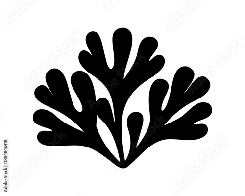 Stylized Black and White Seaweed Vector Illustration on Isolated White Background
