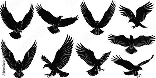 Eagle bird silhouettes vector collection, flying raptor poses set, powerful wingspread illustration, wildlife predator avian design elements, black minimal icons pack