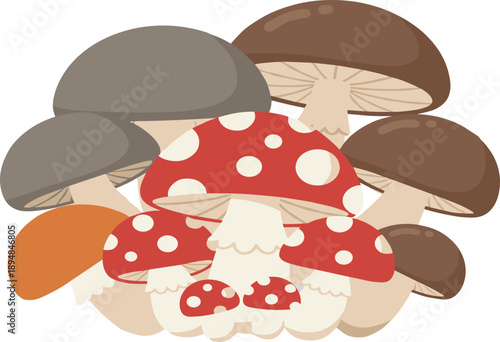 Edible and Wild Mushrooms Collection Including Amanita and Brown Cap Varieties Vector Illustration