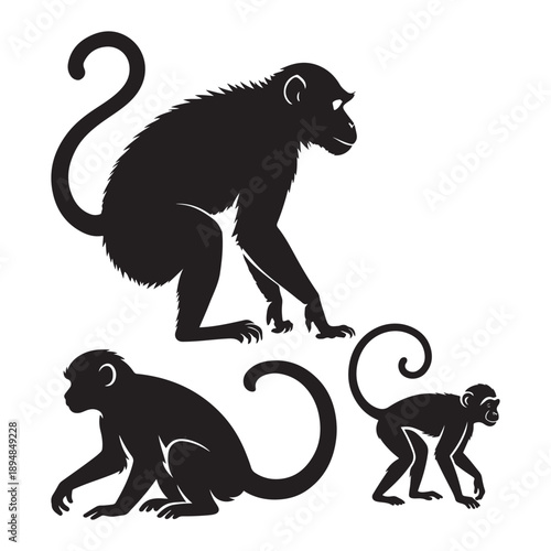 Monkey Primate Silhouettes Set Vector Illustration