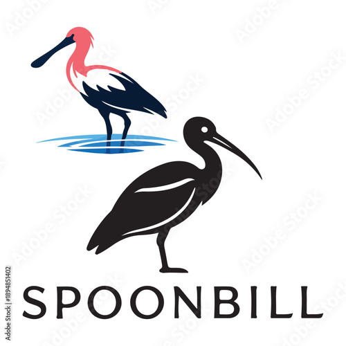 Roseate Spoonbill Bird Vector Illustration and Silhouette