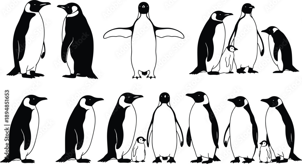 Fototapeta premium Penguin silhouette set showing adult and chick poses, standing family group variations, cute wildlife black and white animal illustration collection