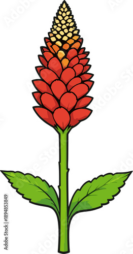 Colorful Flat Cartoon Torch Ginger Flower Spike in Red-Orange-Yellow Gradient with Green Leaves