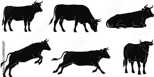 Black Cow Silhouette Collection Featuring Bulls And Dairy Cattle In Various Poses Including Running Jumping Grazing And Standing For Farm Agriculture Vector Illustration Isolated