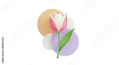 3D Render of a Pink and White Tulip with Abstract Circles