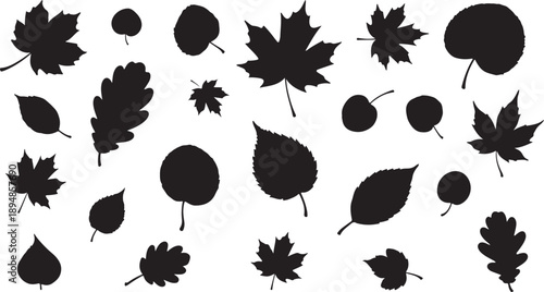Collection of various black leaf silhouettes on white background